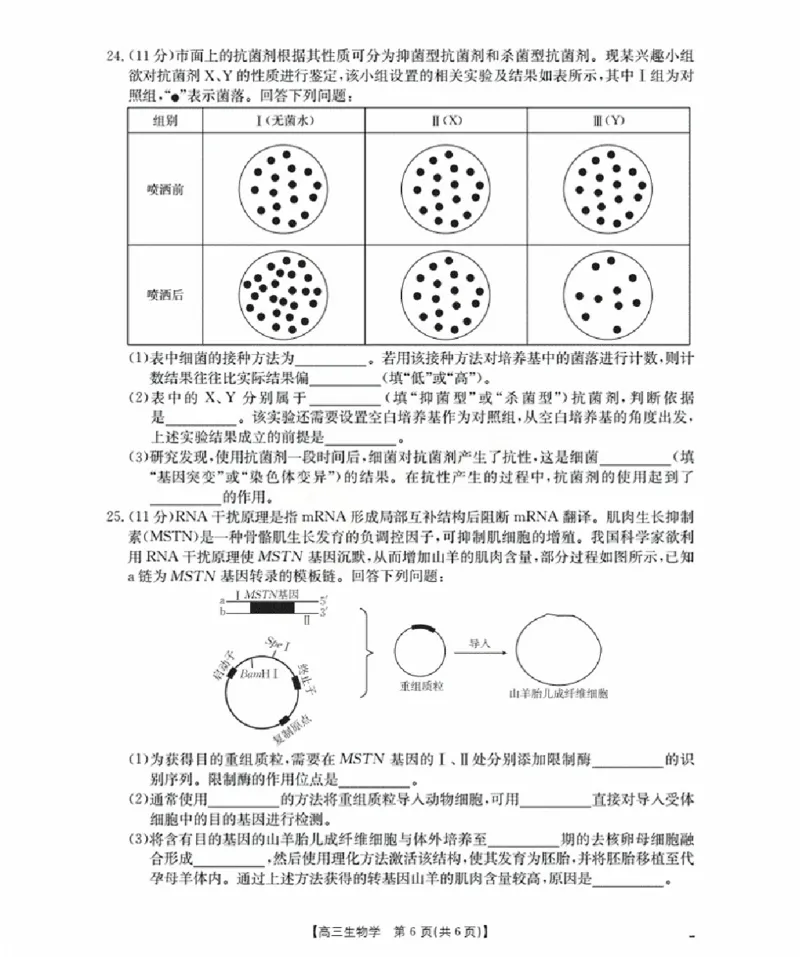 辽宁省金太阳2026届高三9月开学联考（26-16C）生物+答案_2025年9月_250910金太阳&middot;辽宁省2026届高三9月开学联考（26-16C）（全科）
