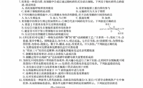 辽宁省金太阳2026届高三9月开学联考（26-16C）生物+答案_2025年9月_250910金太阳&middot;辽宁省2026届高三9月开学联考（26-16C）（全科）