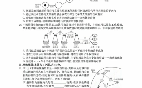 辽宁省金太阳2026届高三9月开学联考（26-16C）生物+答案_2025年9月_250910金太阳&middot;辽宁省2026届高三9月开学联考（26-16C）（全科）