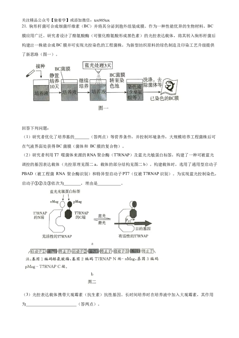 精品解析：2024年新课标广东卷高考生物真题试卷（原卷版）_高考真题全网收集_生物学_2024年新高考广东卷生物高考真题解析（参考版）