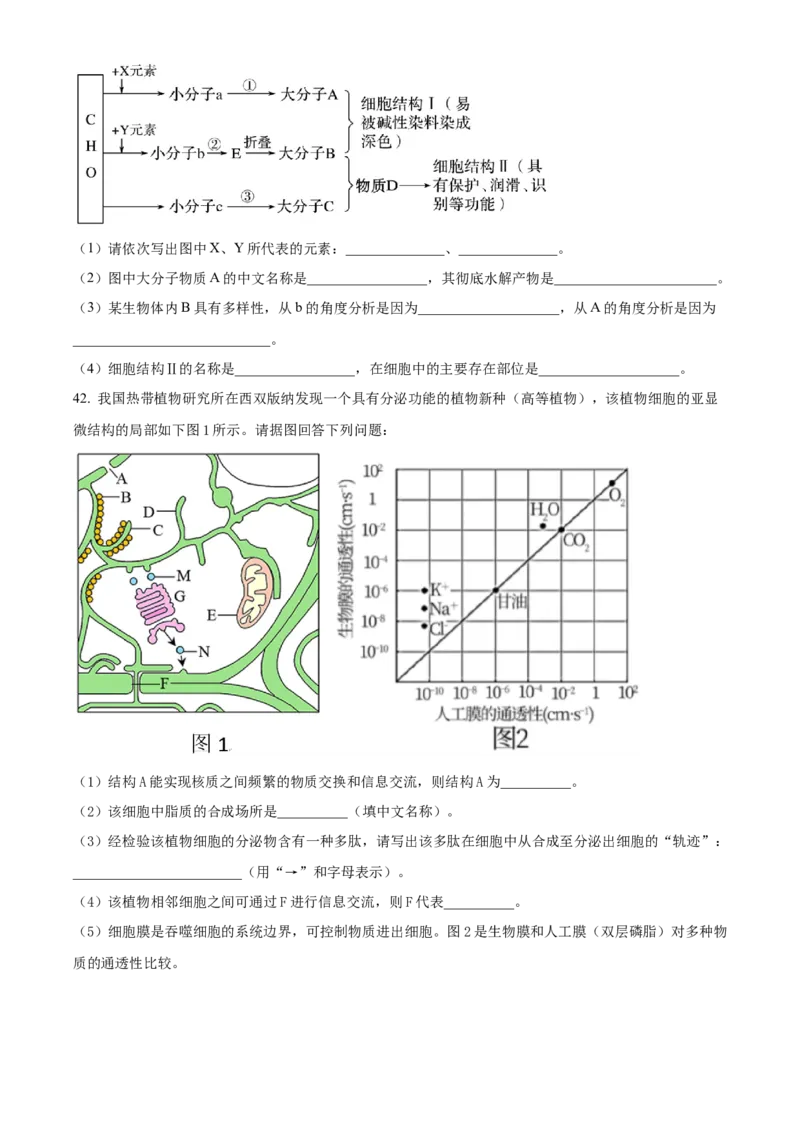 四川省成都市石室中学2024届高三零诊模拟考试生物_2023年7月_01每日更新_30号_2024届四川省成都石室中学高三零诊模拟考试_全国甲卷四川省成都石室中学2024届高三零诊模拟考试