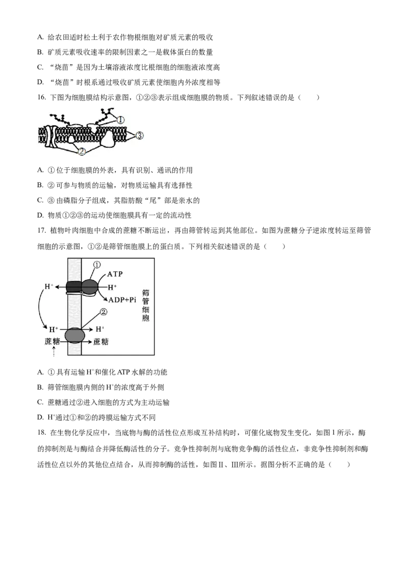 四川省成都市石室中学2024届高三零诊模拟考试生物_2023年7月_01每日更新_30号_2024届四川省成都石室中学高三零诊模拟考试_全国甲卷四川省成都石室中学2024届高三零诊模拟考试