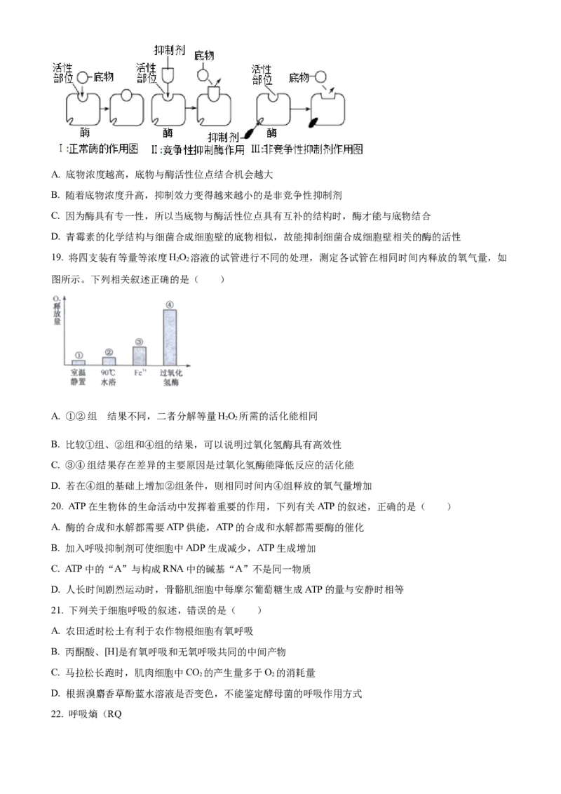 四川省成都市石室中学2024届高三零诊模拟考试生物_2023年7月_01每日更新_30号_2024届四川省成都石室中学高三零诊模拟考试_全国甲卷四川省成都石室中学2024届高三零诊模拟考试