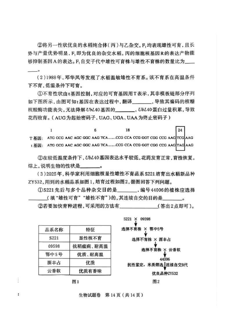 河南省郑州市2026届高三上学期第一次质量预测生物试题(1)_2026年1月_260107河南省郑州市2026年高三第一次质量预测（全科）