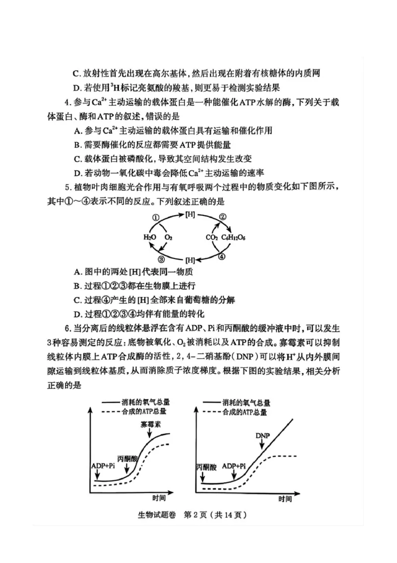 河南省郑州市2026届高三上学期第一次质量预测生物试题(1)_2026年1月_260107河南省郑州市2026年高三第一次质量预测（全科）