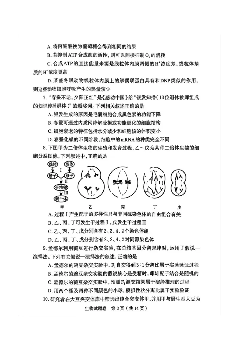 河南省郑州市2026届高三上学期第一次质量预测生物试题(1)_2026年1月_260107河南省郑州市2026年高三第一次质量预测（全科）