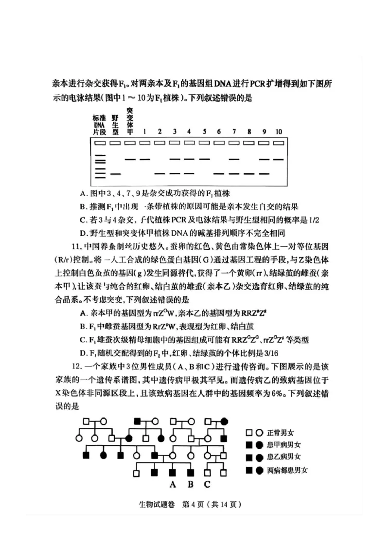 河南省郑州市2026届高三上学期第一次质量预测生物试题(1)_2026年1月_260107河南省郑州市2026年高三第一次质量预测（全科）