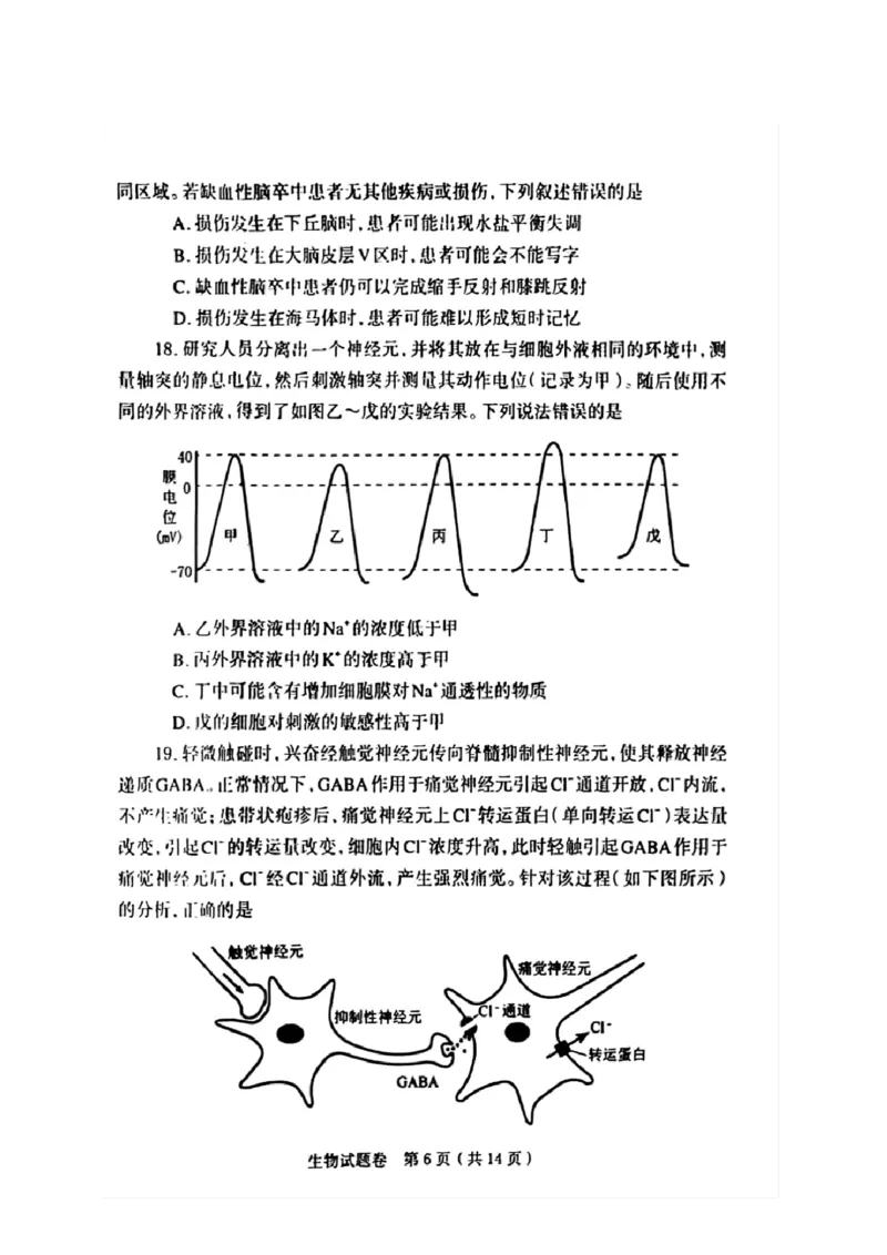 河南省郑州市2026届高三上学期第一次质量预测生物试题(1)_2026年1月_260107河南省郑州市2026年高三第一次质量预测（全科）