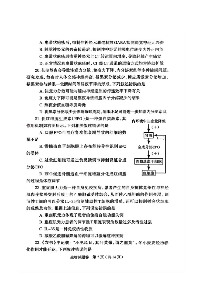 河南省郑州市2026届高三上学期第一次质量预测生物试题(1)_2026年1月_260107河南省郑州市2026年高三第一次质量预测（全科）