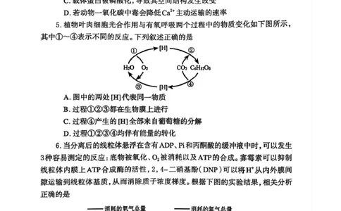 河南省郑州市2026届高三上学期第一次质量预测生物试题(1)_2026年1月_260107河南省郑州市2026年高三第一次质量预测（全科）