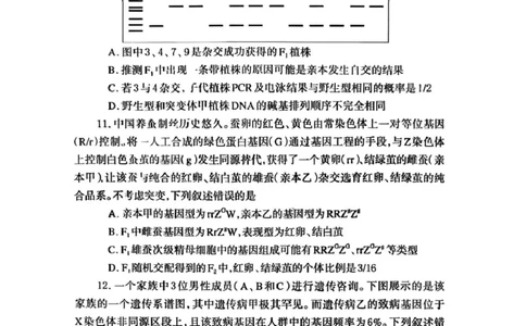 河南省郑州市2026届高三上学期第一次质量预测生物试题(1)_2026年1月_260107河南省郑州市2026年高三第一次质量预测（全科）