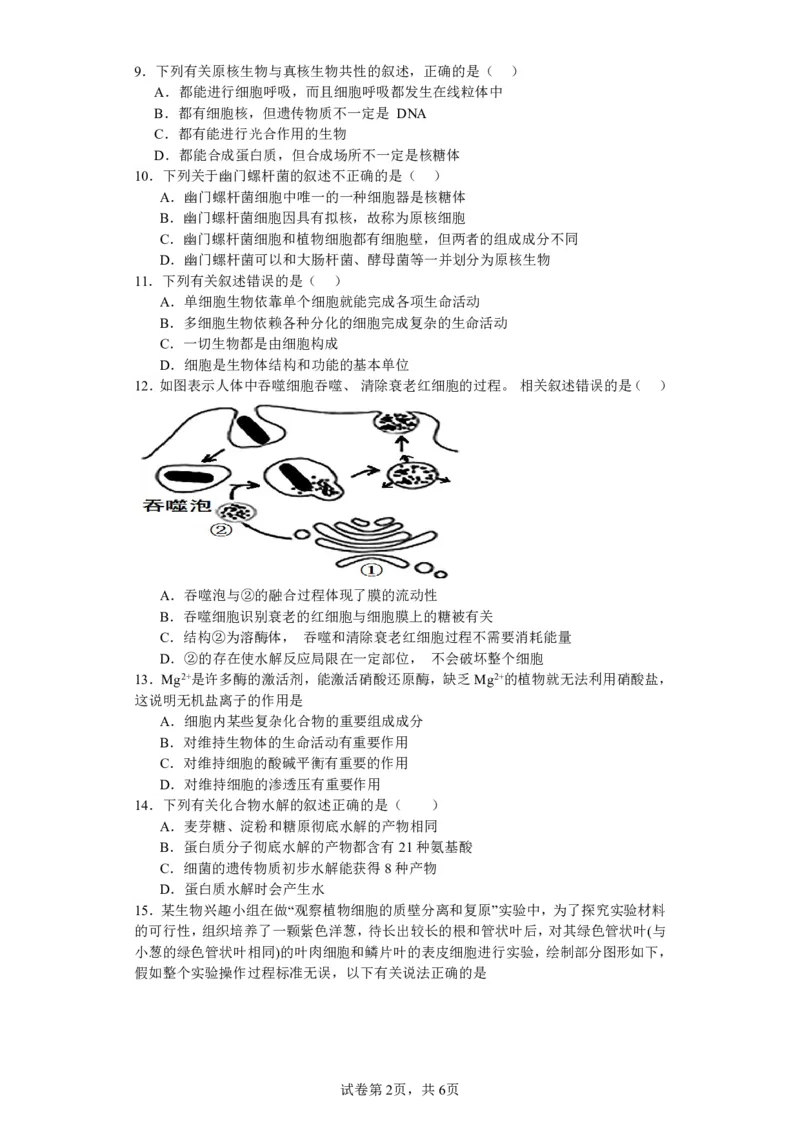 山西省运城市景胜中学2023-2024学年高三7月月考生物_2023年8月_01每日更新_9号_2024届山西省运城市景胜中学高三上学期7月月考试题_山西省运城市景胜中学2024届高三上学期7月月考试题生物