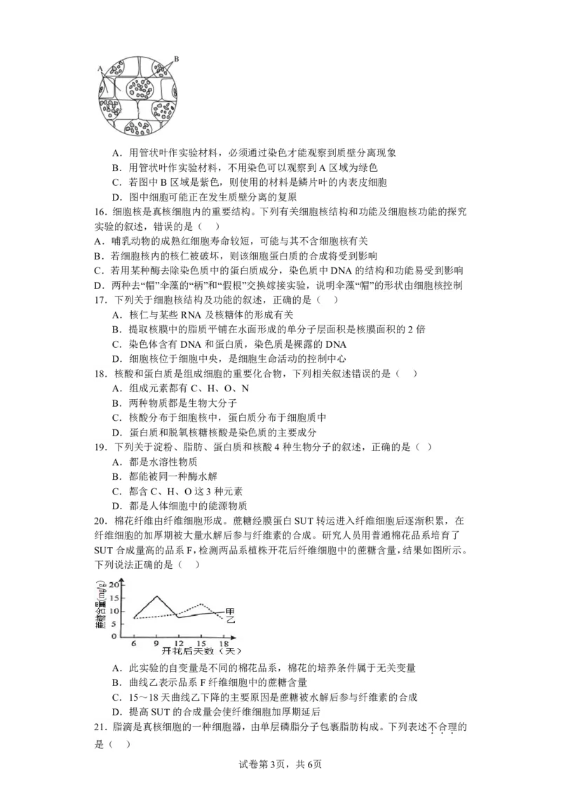 山西省运城市景胜中学2023-2024学年高三7月月考生物_2023年8月_01每日更新_9号_2024届山西省运城市景胜中学高三上学期7月月考试题_山西省运城市景胜中学2024届高三上学期7月月考试题生物
