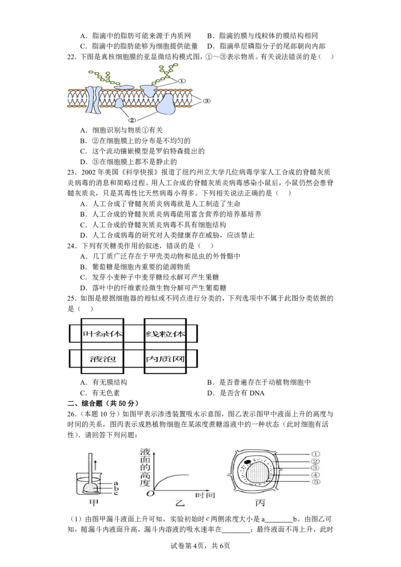 山西省运城市景胜中学2023-2024学年高三7月月考生物_2023年8月_01每日更新_9号_2024届山西省运城市景胜中学高三上学期7月月考试题_山西省运城市景胜中学2024届高三上学期7月月考试题生物