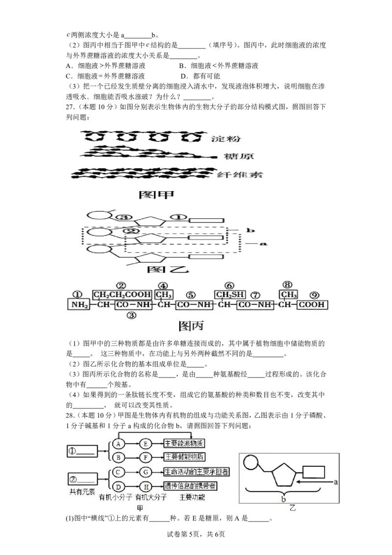 山西省运城市景胜中学2023-2024学年高三7月月考生物_2023年8月_01每日更新_9号_2024届山西省运城市景胜中学高三上学期7月月考试题_山西省运城市景胜中学2024届高三上学期7月月考试题生物