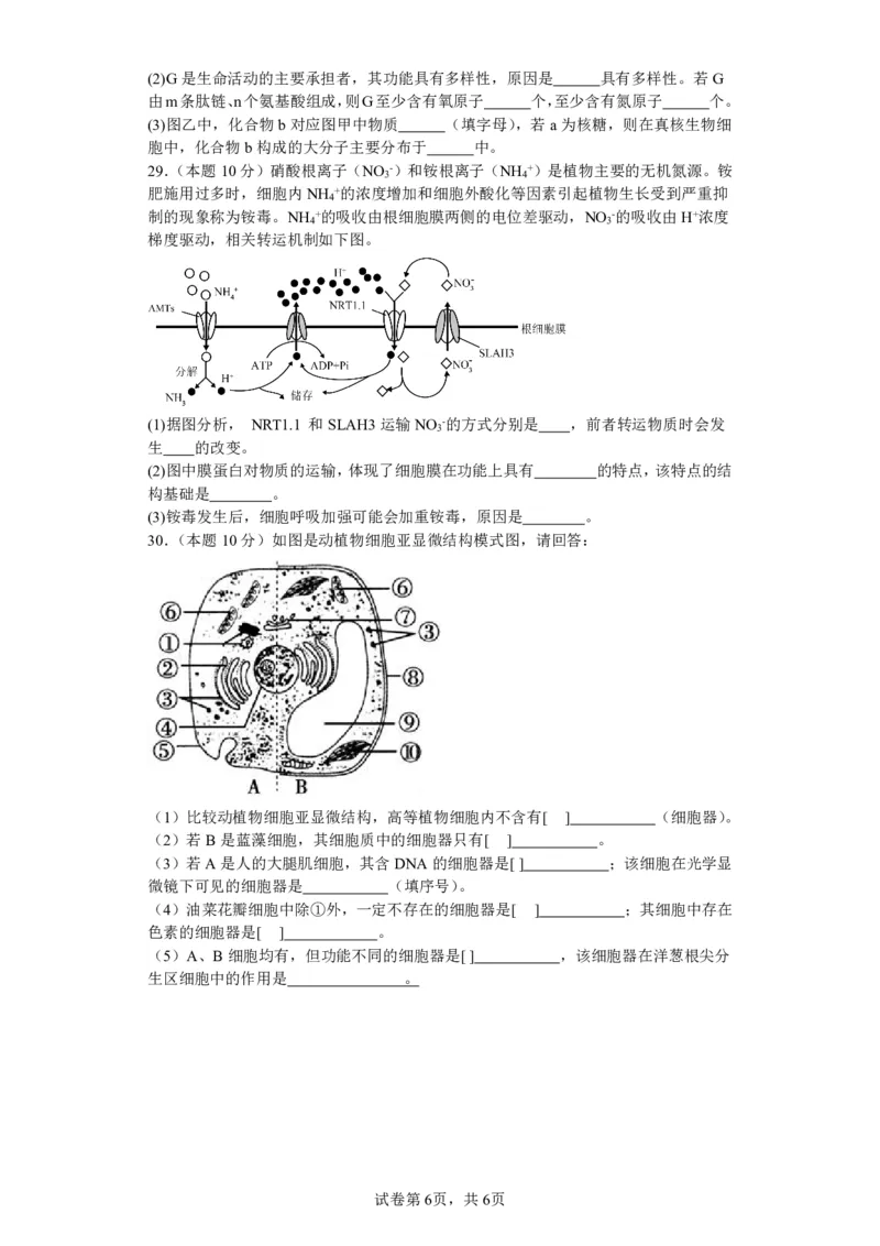 山西省运城市景胜中学2023-2024学年高三7月月考生物_2023年8月_01每日更新_9号_2024届山西省运城市景胜中学高三上学期7月月考试题_山西省运城市景胜中学2024届高三上学期7月月考试题生物