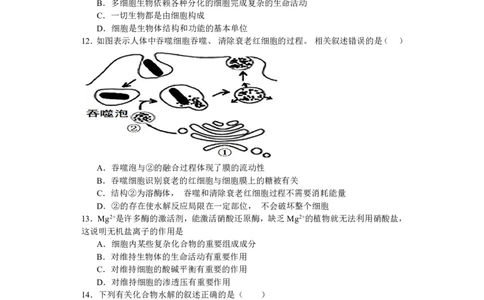山西省运城市景胜中学2023-2024学年高三7月月考生物_2023年8月_01每日更新_9号_2024届山西省运城市景胜中学高三上学期7月月考试题_山西省运城市景胜中学2024届高三上学期7月月考试题生物