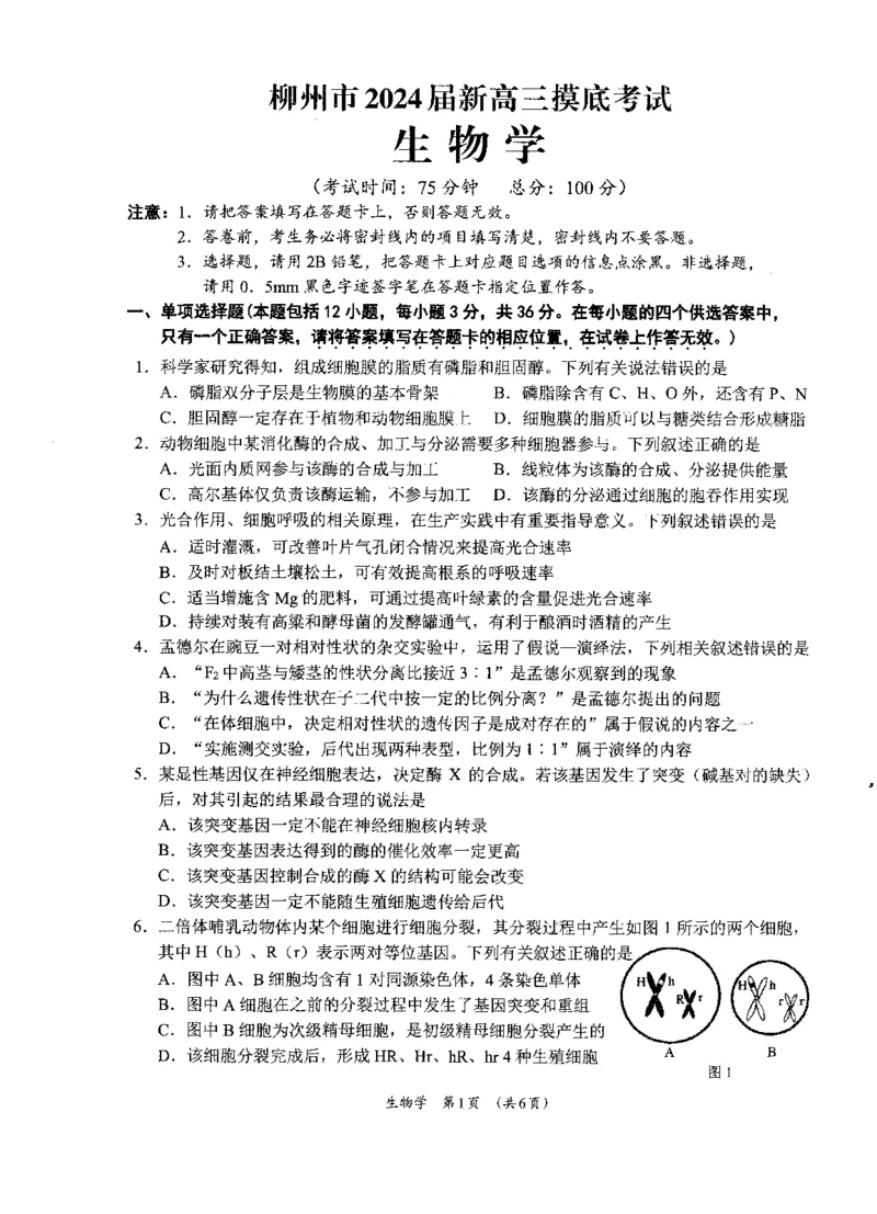 广西柳州市2023-2024学年高三9月摸底考试生物(1)_2023年9月_029月合集_2024届广西柳州市高三9月摸底考试（全科）