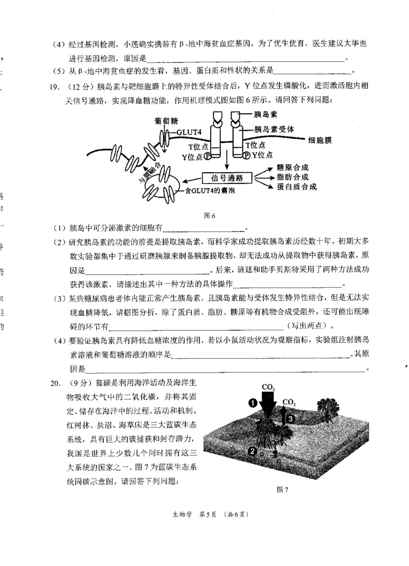 广西柳州市2023-2024学年高三9月摸底考试生物(1)_2023年9月_029月合集_2024届广西柳州市高三9月摸底考试（全科）