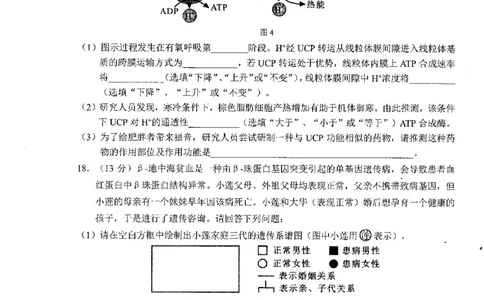 广西柳州市2023-2024学年高三9月摸底考试生物(1)_2023年9月_029月合集_2024届广西柳州市高三9月摸底考试（全科）
