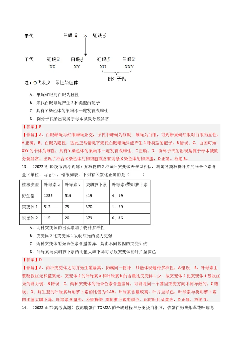 专题14变异、育种与进化（解析卷）_近10年高考真题汇编（必刷）_十年（2014-2024）高考生物真题分项汇编（全国通用）_十年（2014-2023）高考生物真题分项汇编（全国通用）