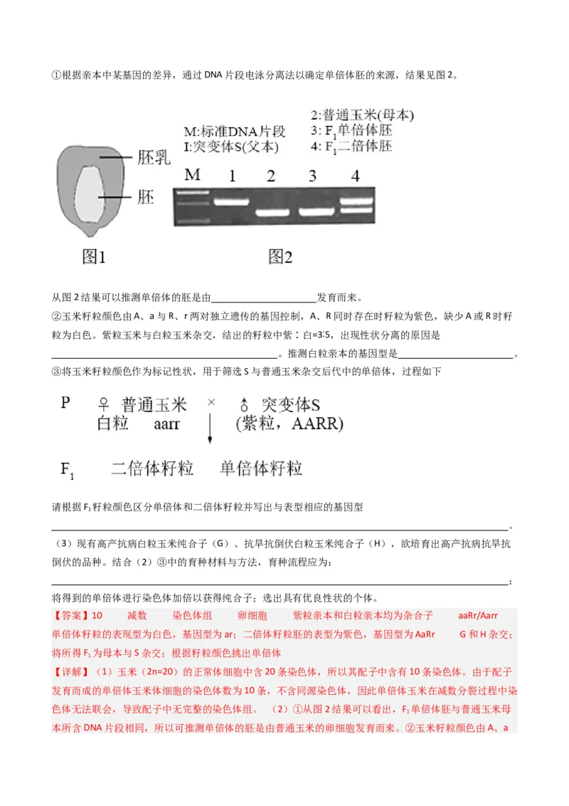 专题14变异、育种与进化（解析卷）_近10年高考真题汇编（必刷）_十年（2014-2024）高考生物真题分项汇编（全国通用）_十年（2014-2023）高考生物真题分项汇编（全国通用）