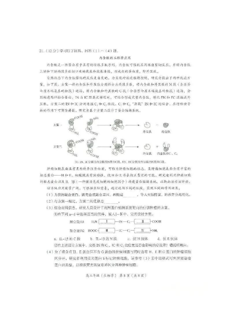 2026届高三海淀期末考试生物试题(1)_2026年1月_260123北京市海淀区2025一2026学年度第一学期期末统一检测（全科）