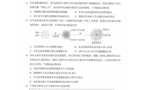 2026届高三海淀期末考试生物试题(1)_2026年1月_260123北京市海淀区2025一2026学年度第一学期期末统一检测（全科）