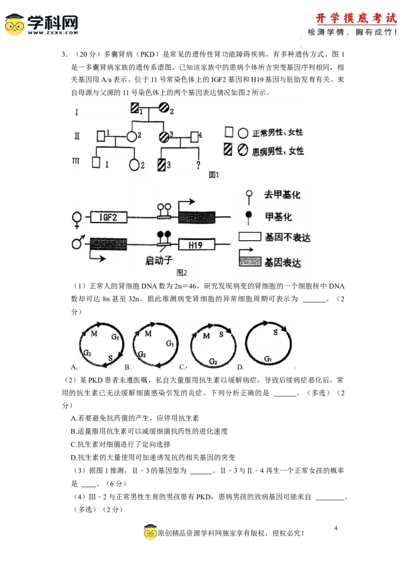 生物-2024届新高三开学摸底考试卷（上海专用）(考试版)_2024届新高三开学摸底考试卷_生物-2024届新高三开学摸底考试卷_生物-2024届新高三开学摸底考试卷（上海专用）_39583883