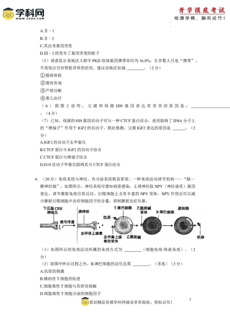 生物-2024届新高三开学摸底考试卷（上海专用）(考试版)_2024届新高三开学摸底考试卷_生物-2024届新高三开学摸底考试卷_生物-2024届新高三开学摸底考试卷（上海专用）_39583883