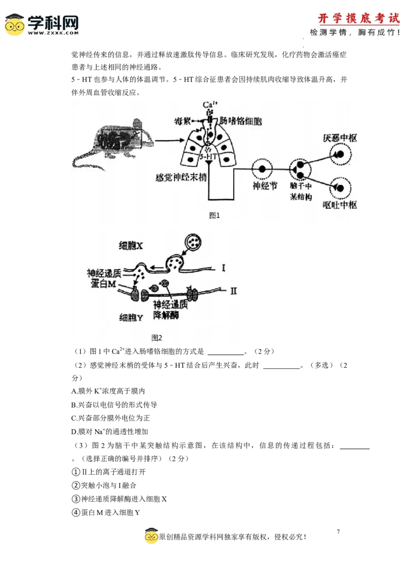 生物-2024届新高三开学摸底考试卷（上海专用）(考试版)_2024届新高三开学摸底考试卷_生物-2024届新高三开学摸底考试卷_生物-2024届新高三开学摸底考试卷（上海专用）_39583883