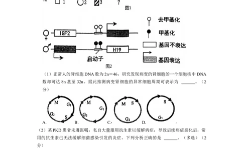 生物-2024届新高三开学摸底考试卷（上海专用）(考试版)_2024届新高三开学摸底考试卷_生物-2024届新高三开学摸底考试卷_生物-2024届新高三开学摸底考试卷（上海专用）_39583883