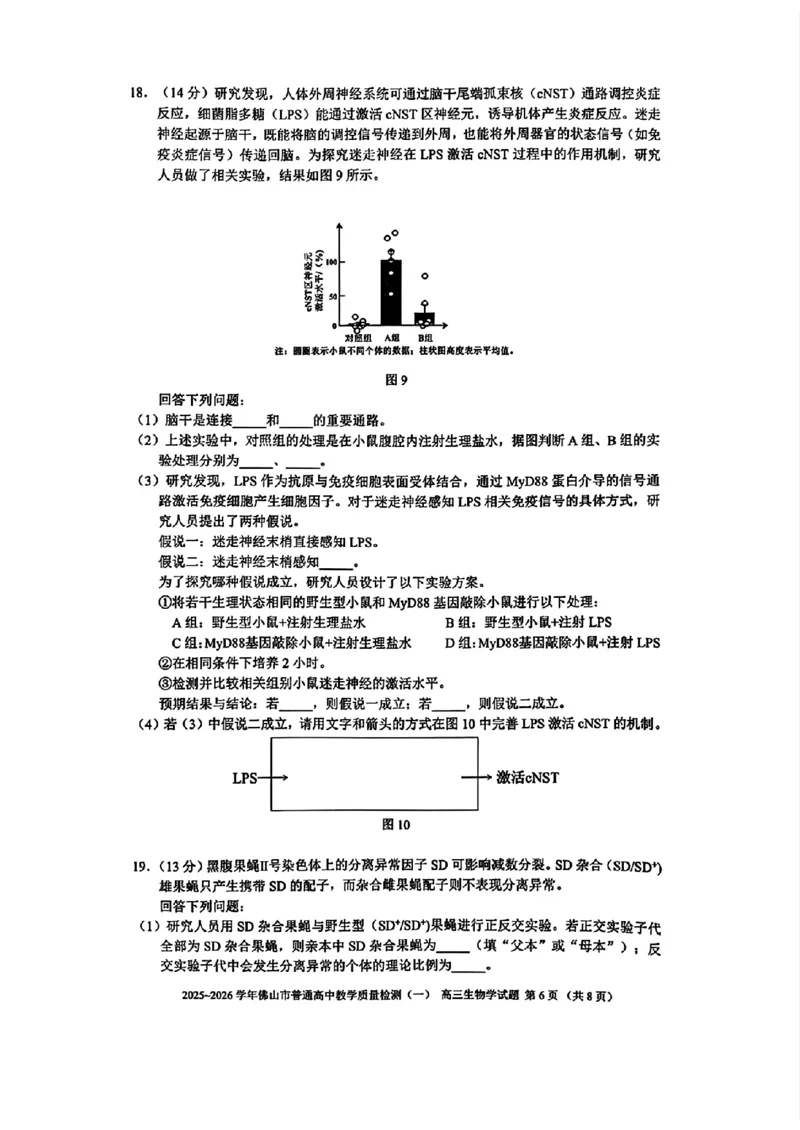 广东省佛山市普通高中2026届高三上学期教学质量检测(一)生物试卷+答案(1)_2026年1月_260129广东省佛山市普通高中2026届高三上学期教学质量检测（一）（全科）