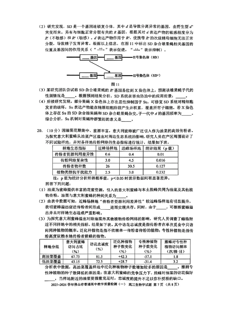 广东省佛山市普通高中2026届高三上学期教学质量检测(一)生物试卷+答案(1)_2026年1月_260129广东省佛山市普通高中2026届高三上学期教学质量检测（一）（全科）