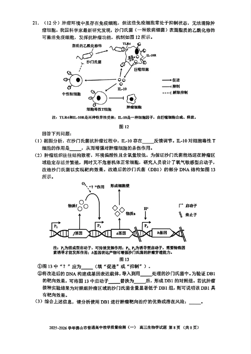 广东省佛山市普通高中2026届高三上学期教学质量检测(一)生物试卷+答案(1)_2026年1月_260129广东省佛山市普通高中2026届高三上学期教学质量检测（一）（全科）