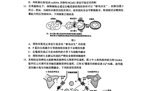 广东省佛山市普通高中2026届高三上学期教学质量检测(一)生物试卷+答案(1)_2026年1月_260129广东省佛山市普通高中2026届高三上学期教学质量检测（一）（全科）
