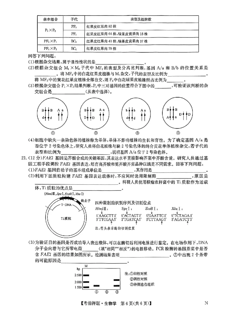 高三生物学_2025年5月_250523九师联盟2025届高三5月考前押题联考（全科）_九师联盟2025届高三下学期5月考前押题生物