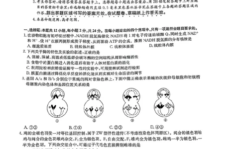 高三生物学_2025年5月_250523九师联盟2025届高三5月考前押题联考（全科）_九师联盟2025届高三下学期5月考前押题生物