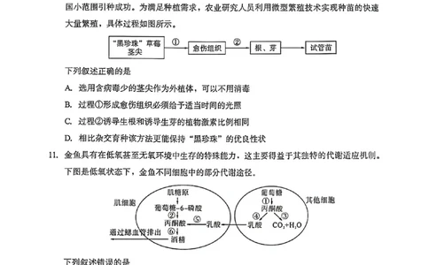 生物试题卷(1)_2026年1月_260130福建省七地市厦门福州龙岩莆田三明宁德南平市2026年1月高三联考（全科）_福建省部分地市2026届高中毕业班第一次质量检测生物