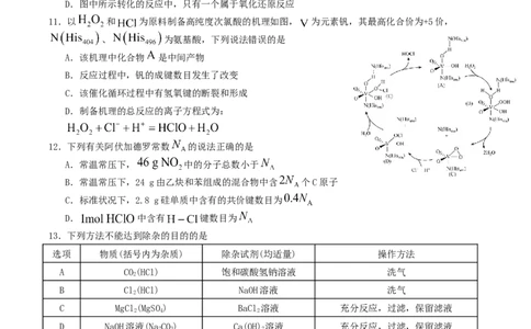 四川省字节精准教育联盟2026届高三上学期1月第二阶段学情调研测试化学试卷（含答案）(1)_2026年1月_260112四川省字节精准教育联盟2026届高三上学期1月第二阶段学情调研测试（全科）