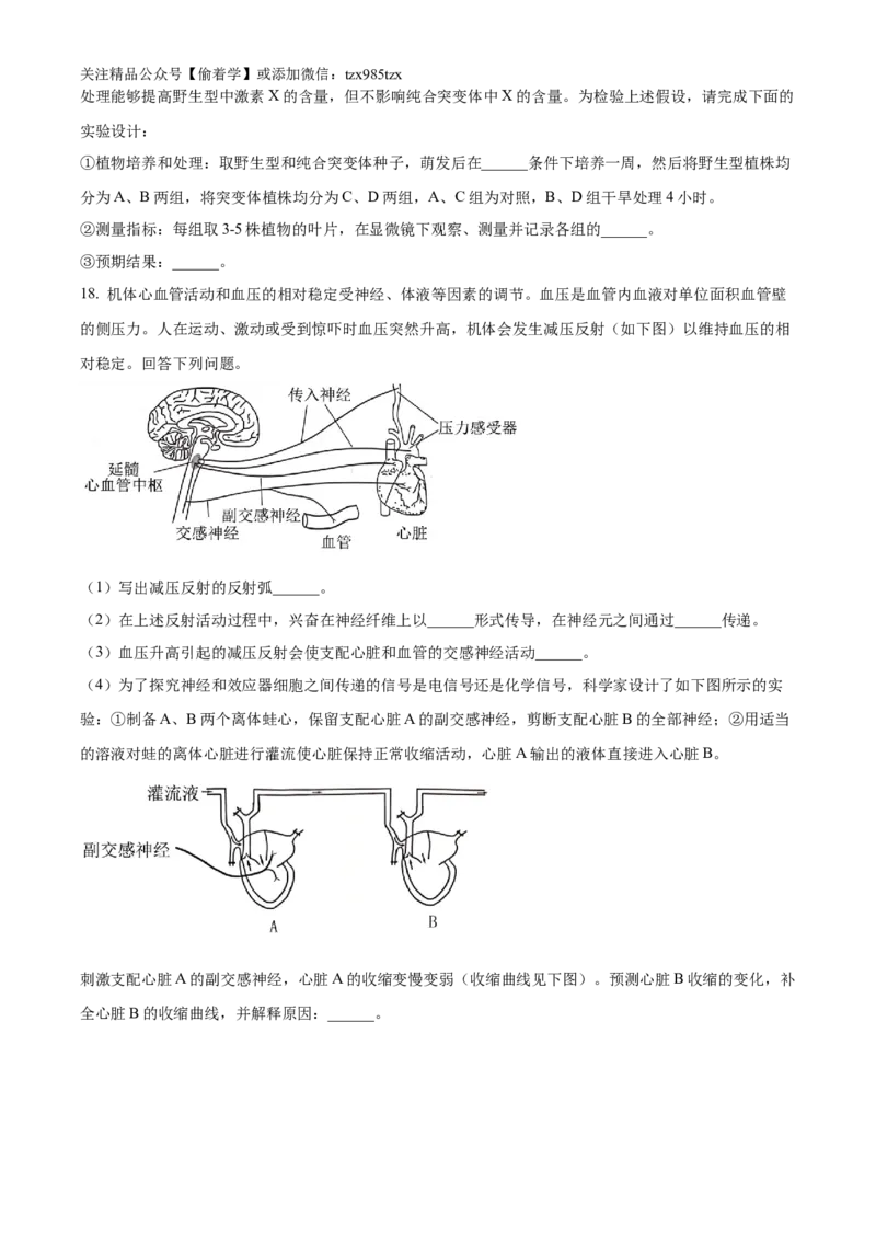 精品解析：2024年新课标甘肃高考生物试卷（原卷版）_高考真题全网收集_生物学_2024年新高考甘肃卷生物高考真题解析（参考版）