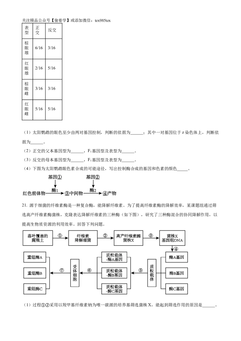 精品解析：2024年新课标甘肃高考生物试卷（原卷版）_高考真题全网收集_生物学_2024年新高考甘肃卷生物高考真题解析（参考版）