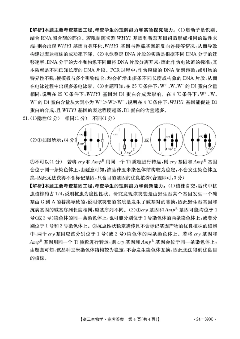 1_扫描件_2024年湛江市普通高考第二次模拟答案_2024年4月_01按日期_14号_2024届广东省湛江市二模（金太阳390C）_2024届广东省湛江市高三下学期二模考试生物试题