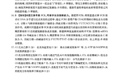 1_扫描件_2024年湛江市普通高考第二次模拟答案_2024年4月_01按日期_14号_2024届广东省湛江市二模（金太阳390C）_2024届广东省湛江市高三下学期二模考试生物试题