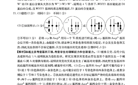 1_扫描件_2024年湛江市普通高考第二次模拟答案_2024年4月_01按日期_14号_2024届广东省湛江市二模（金太阳390C）_2024届广东省湛江市高三下学期二模考试生物试题