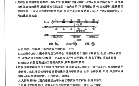 2026届河北高三上学期1月检测联考生物试题+答案(1)_2026年1月_2601132026届河北高三上学期1月检测联考