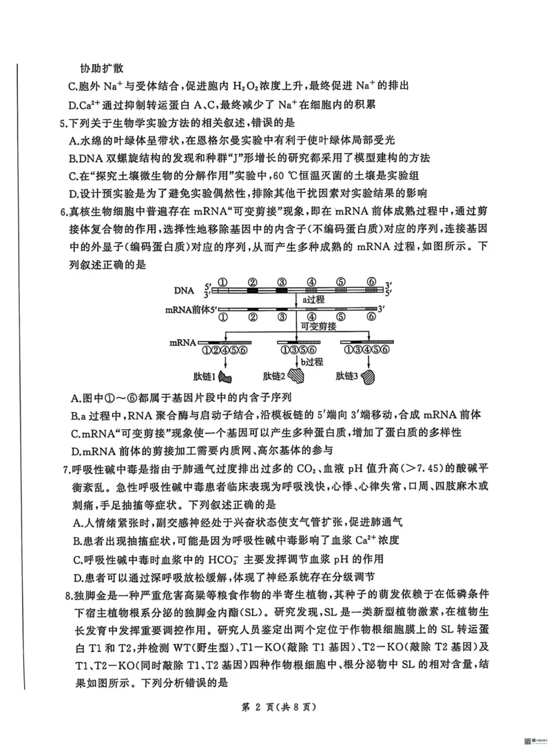 2026届河北高三上学期1月检测联考生物试题+答案(1)_2026年1月_2601132026届河北高三上学期1月检测联考