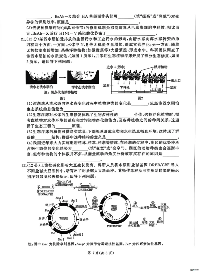 2026届河北高三上学期1月检测联考生物试题+答案(1)_2026年1月_2601132026届河北高三上学期1月检测联考