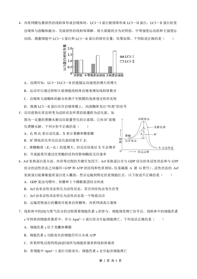 重庆市七校联盟2025年秋期高三第一次适应性考试生物_2025年9月_250908重庆市七校联盟2025-2026学年高三上学期第一次适应性考试（开学）（全科）