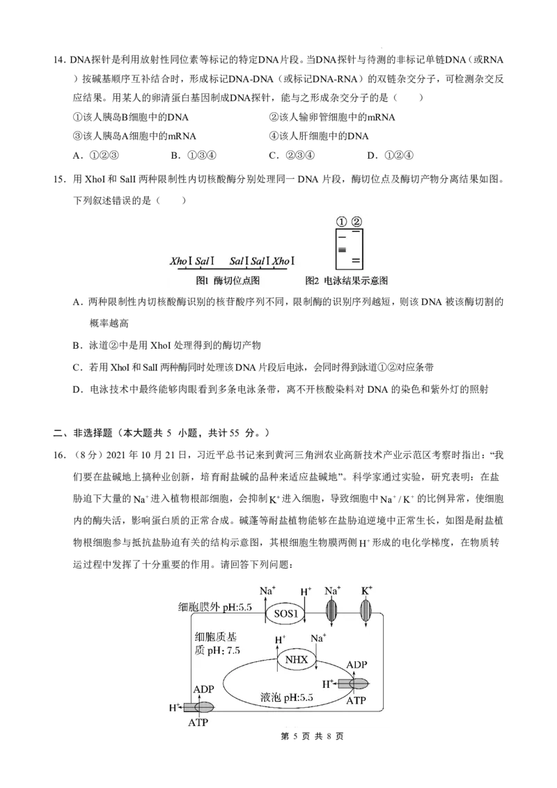 重庆市七校联盟2025年秋期高三第一次适应性考试生物_2025年9月_250908重庆市七校联盟2025-2026学年高三上学期第一次适应性考试（开学）（全科）